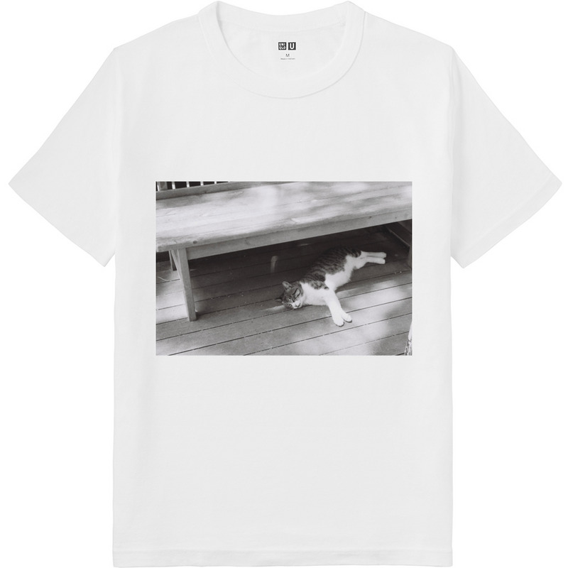 D31519d7 918f 4e61 a6da 88c95a9930fa 64 print ll