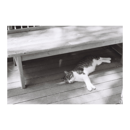 D31519d7 918f 4e61 a6da 88c95a9930fa s