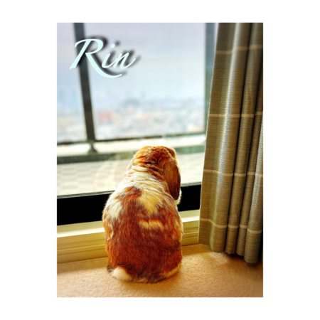 Fa85754a 2bd9 4684 a7d6 b31536e7070f s