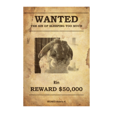 7d1693b7 2c3a 4762 9ee5 67492b0aac69 s