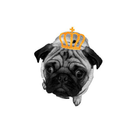 5be2e72c 3d2a 4d8b 874f 635be6507773 s