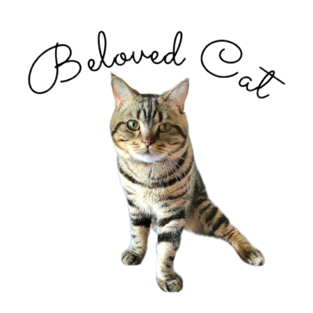 590384ab 3d8d 4fd6 b83a 38788c97cb51 s