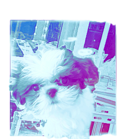 E77e68bb 1cec 42bc 8323 843d343ad9b7 s