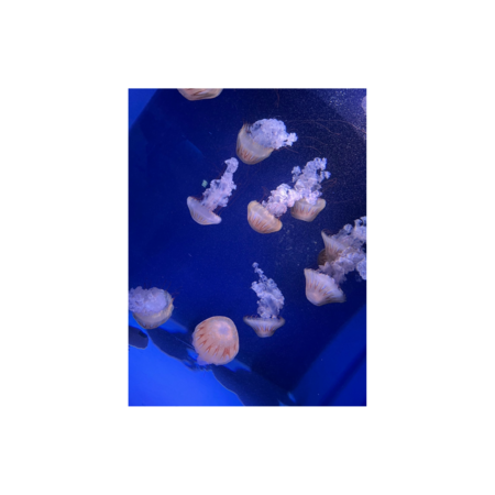 6a2cad3f aa7a 4739 85f1 20a273cc3cf6 s