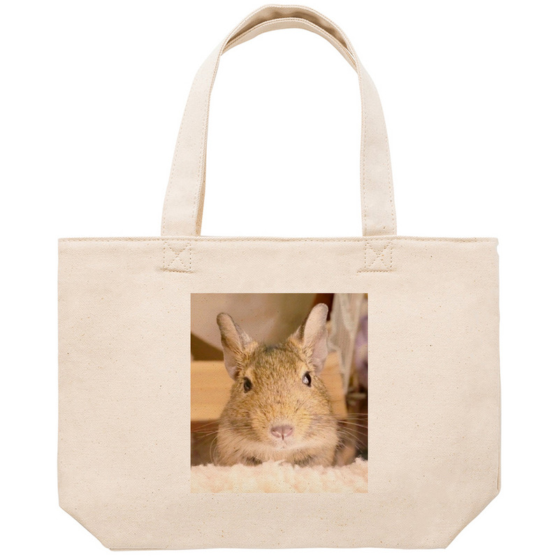 9e3cb07e 4e1e 4a14 a0ad 70ba7a691d18 53 print ll