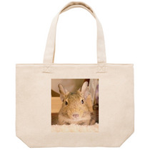 9e3cb07e 4e1e 4a14 a0ad 70ba7a691d18 53 print s