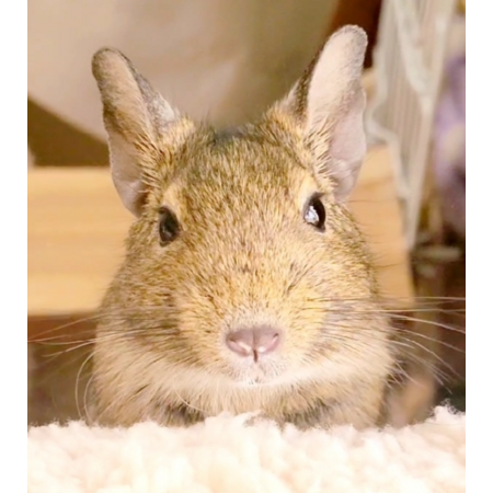 9e3cb07e 4e1e 4a14 a0ad 70ba7a691d18 s