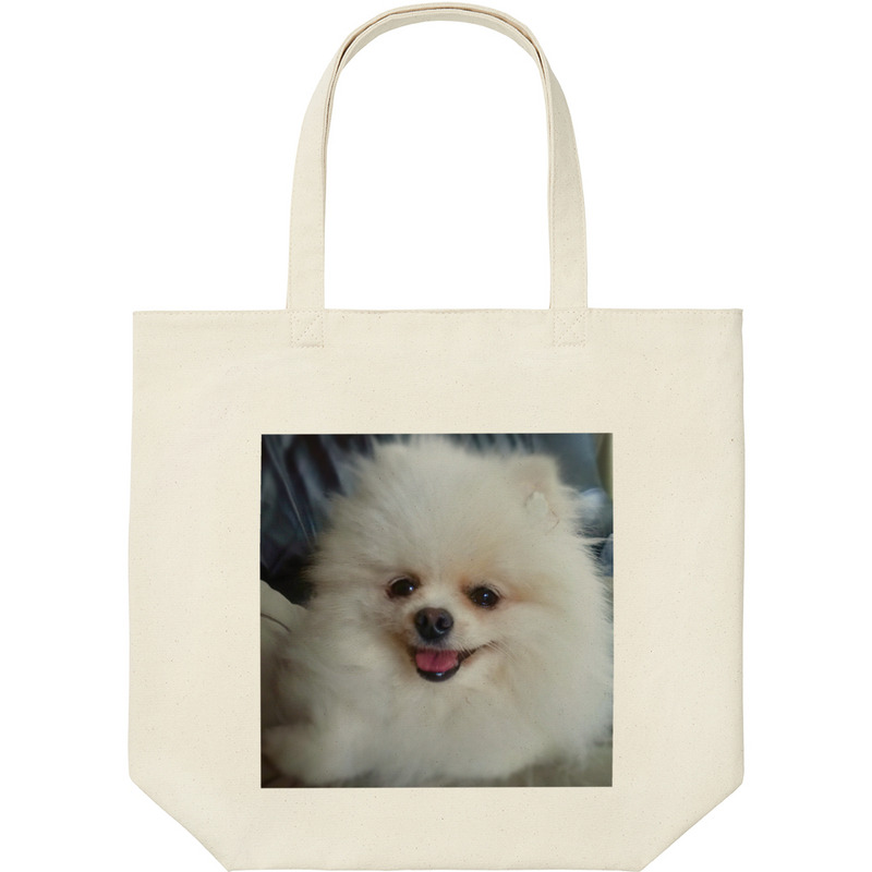 068a2ea7 e603 4fc9 bfe5 8b4b5f89b76b 9 print ll