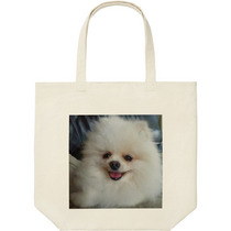 068a2ea7 e603 4fc9 bfe5 8b4b5f89b76b 9 print s