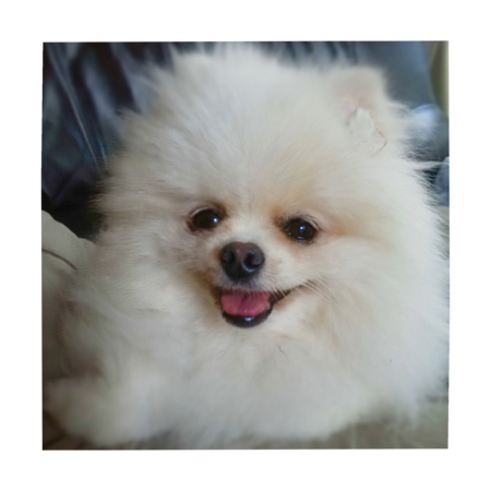 068a2ea7 e603 4fc9 bfe5 8b4b5f89b76b s