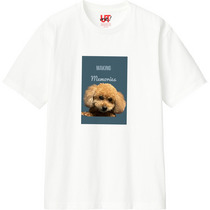 9866ff5f 16fd 45e6 9c42 8a8db699a1ad 110 print s