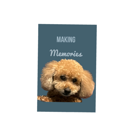 9866ff5f 16fd 45e6 9c42 8a8db699a1ad s