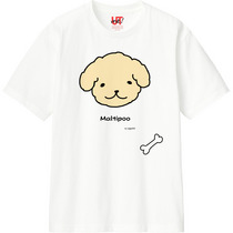 20de3ed7 4276 42e5 b9d7 fec8141211f8 110 print s