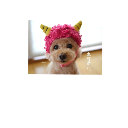 3bd27a98 f7c3 496a 9cb5 9c01c7c734e3 s