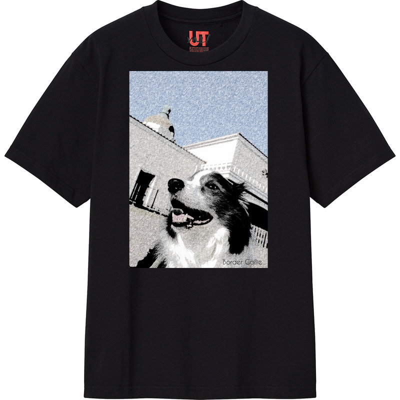 Fee54b07 e2db 4112 afbb 68b3d97429aa 111 print ll