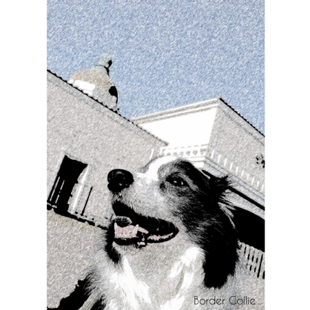 Fee54b07 e2db 4112 afbb 68b3d97429aa s