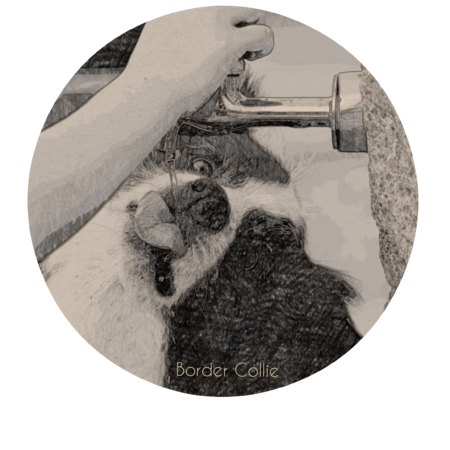 Aafca964 f6ef 4418 ba6b f288962aa0e5 s