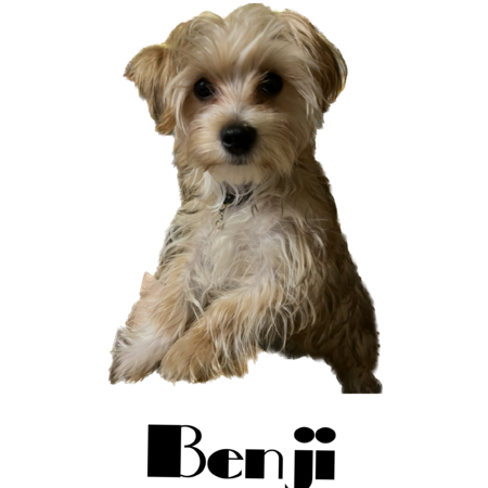 152cd8b8 e7e6 4fa7 a4e2 5481615735d9 s