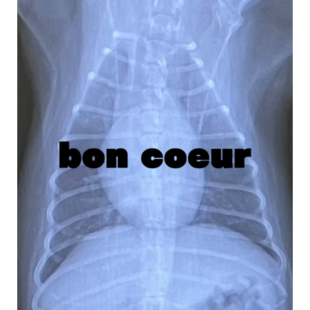 31a74b29 c6ba 497f af54 77c53bbc0044 s