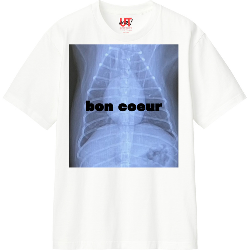 A0e7ba80 c246 4c3a a60e bd7e4f9f446c 110 print ll