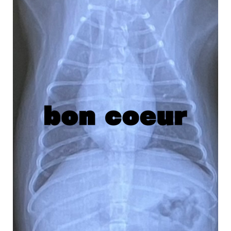 A0e7ba80 c246 4c3a a60e bd7e4f9f446c s