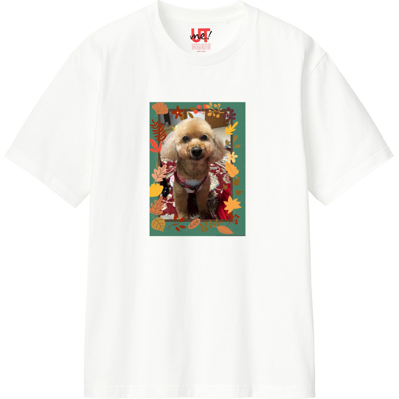 A407173d 0eb4 4841 8db9 fc1ce7135a17 110 print ll