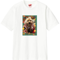 A407173d 0eb4 4841 8db9 fc1ce7135a17 110 print s