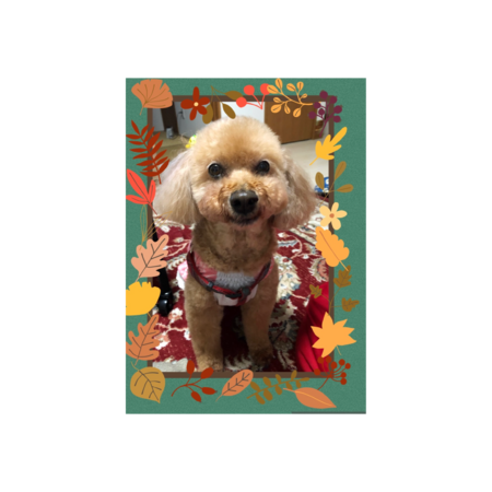 A407173d 0eb4 4841 8db9 fc1ce7135a17 s