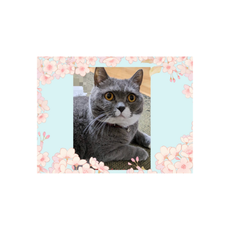 B7ceb5f8 018f 48a5 b1b4 4332cdc578fd s