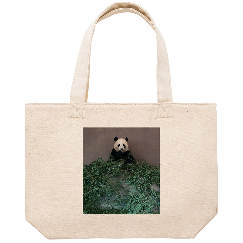 Ded72911 960e 4a70 a3eb 8cfc404e7729 53 print ll