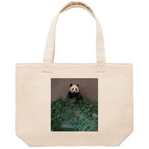 Ded72911 960e 4a70 a3eb 8cfc404e7729 53 print s