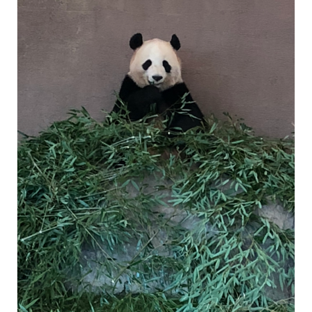 Ded72911 960e 4a70 a3eb 8cfc404e7729 s