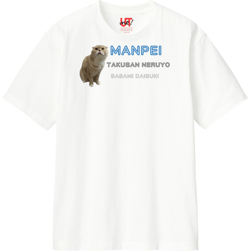 2a01294d 66ae 4cdc 8510 4aa7e5d0a984 110 print ll