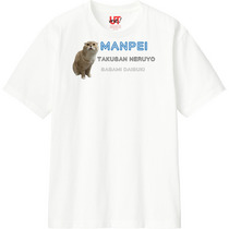 2a01294d 66ae 4cdc 8510 4aa7e5d0a984 110 print s