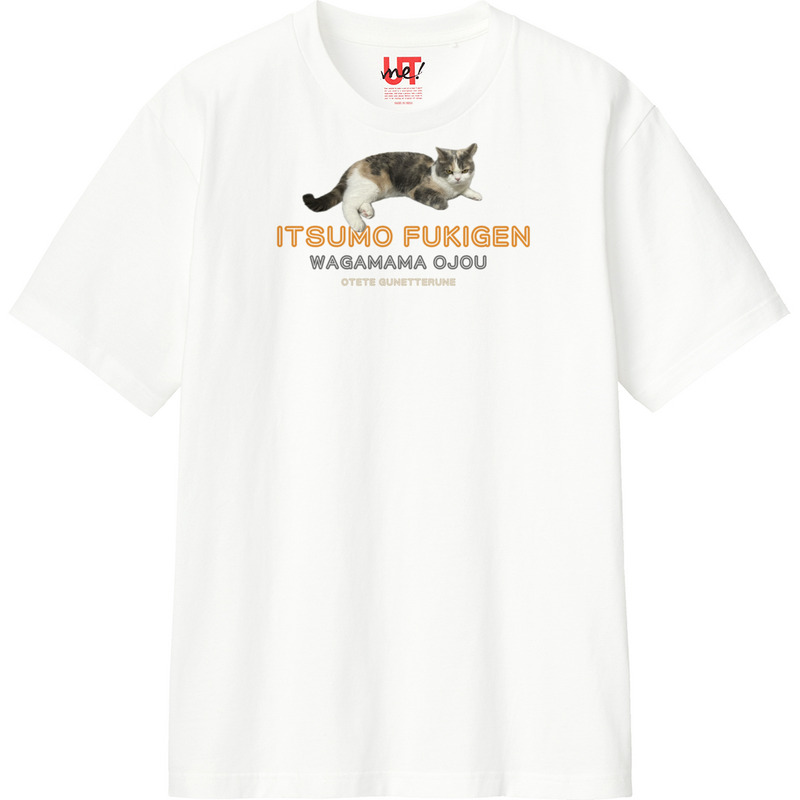 Dfe3174f 659d 4b68 aa76 1a07cc711b46 110 print ll