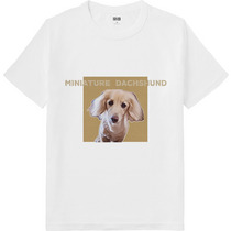 3617047d 0410 40c3 8e8b 79bb90ff9464 64 print s