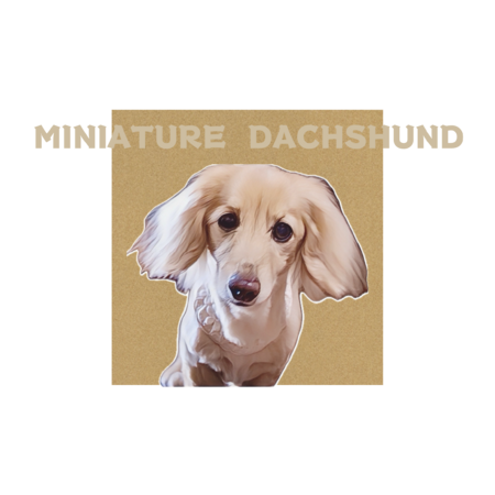 3617047d 0410 40c3 8e8b 79bb90ff9464 s