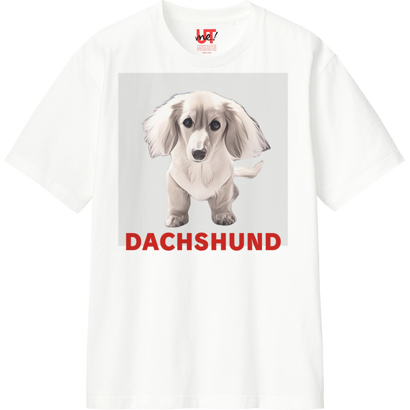 Ab30cd6a 2339 4b78 a4c1 da90123416f2 110 print ll