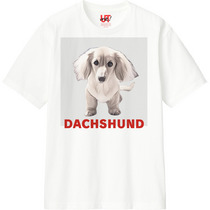 Ab30cd6a 2339 4b78 a4c1 da90123416f2 110 print s