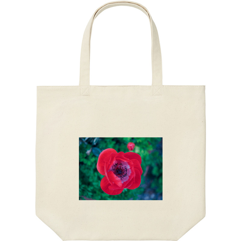 C7d69c9d d8ec 421d b41b 8362d1253ff0 9 print ll