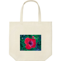 C7d69c9d d8ec 421d b41b 8362d1253ff0 9 print s