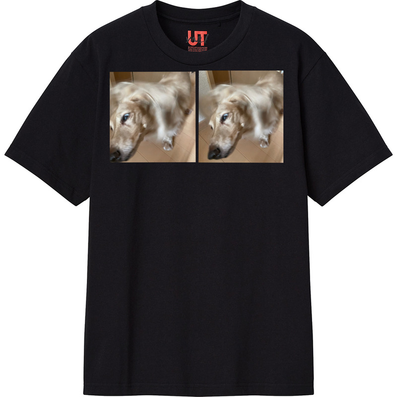 6ab2e6b5 94a1 4022 92a6 89bc29e45e4e 111 print ll