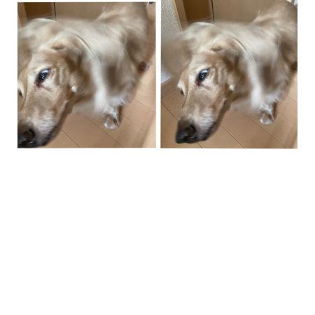 6ab2e6b5 94a1 4022 92a6 89bc29e45e4e s