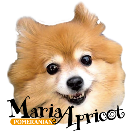 3095b988 f690 47a5 9ad1 133f8b3b5665 s