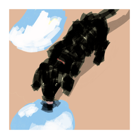 C6c8b9a3 0b1d 47d1 a198 c36f95d69ecf s