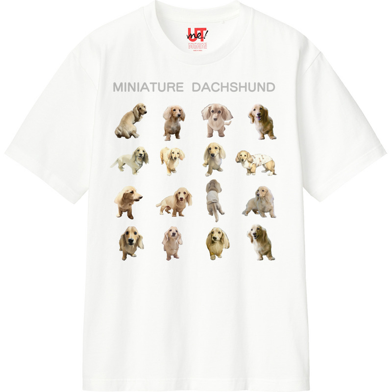 51120119 4930 4b2a 9459 c3ea6d29ffc1 110 print ll