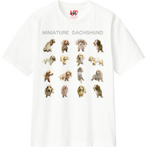 51120119 4930 4b2a 9459 c3ea6d29ffc1 110 print s