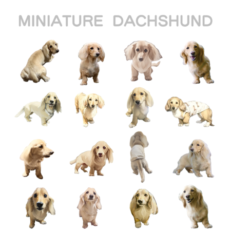 51120119 4930 4b2a 9459 c3ea6d29ffc1 s