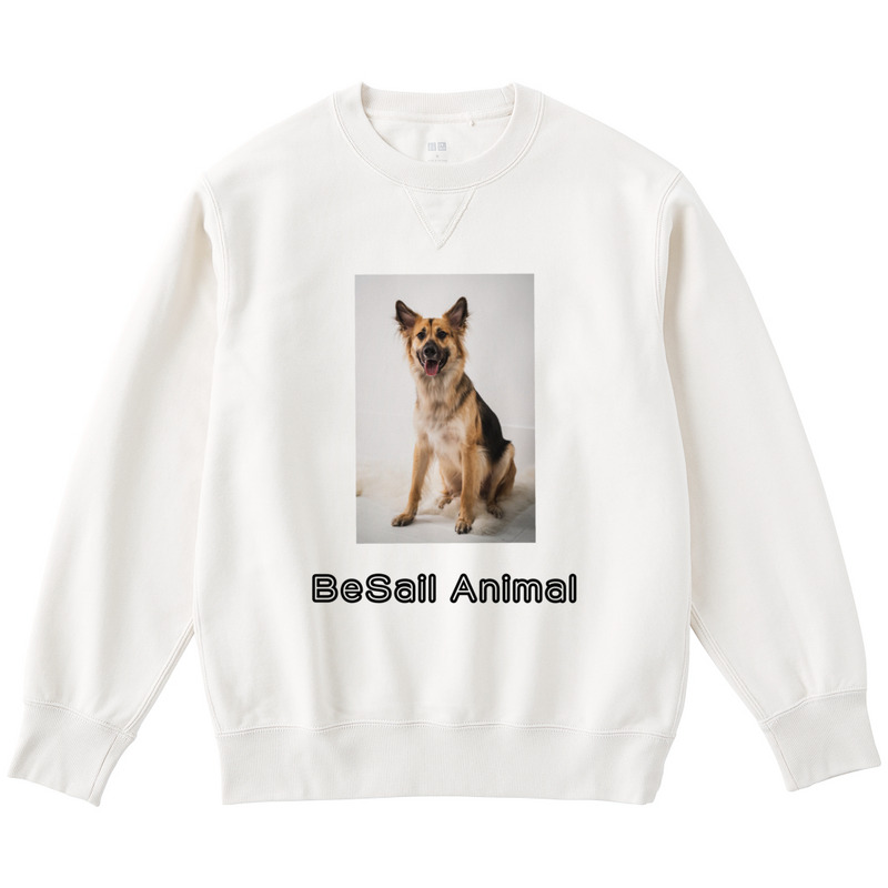 49a86e2e 24f5 4a95 94a6 40462499acdc 122 print ll