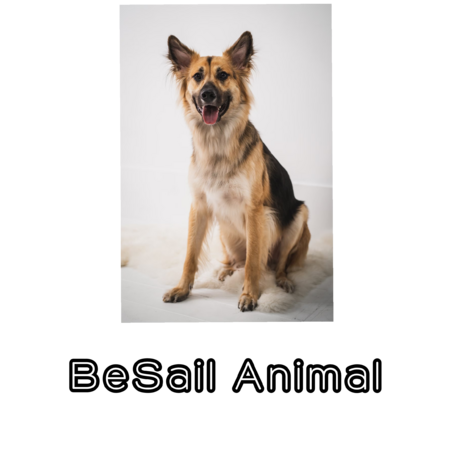 49a86e2e 24f5 4a95 94a6 40462499acdc s